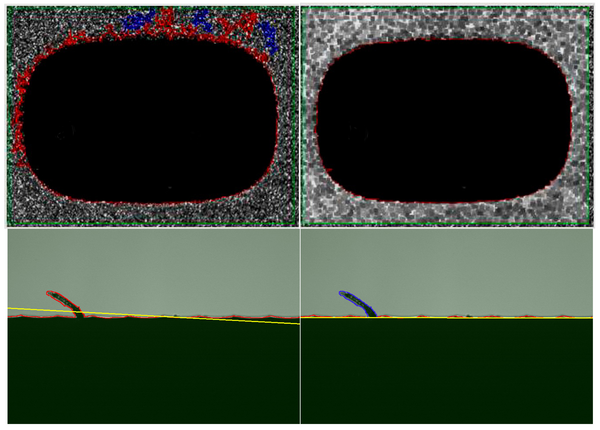Werth image processing - Perfect image evaluation for optics and computer tomography scans